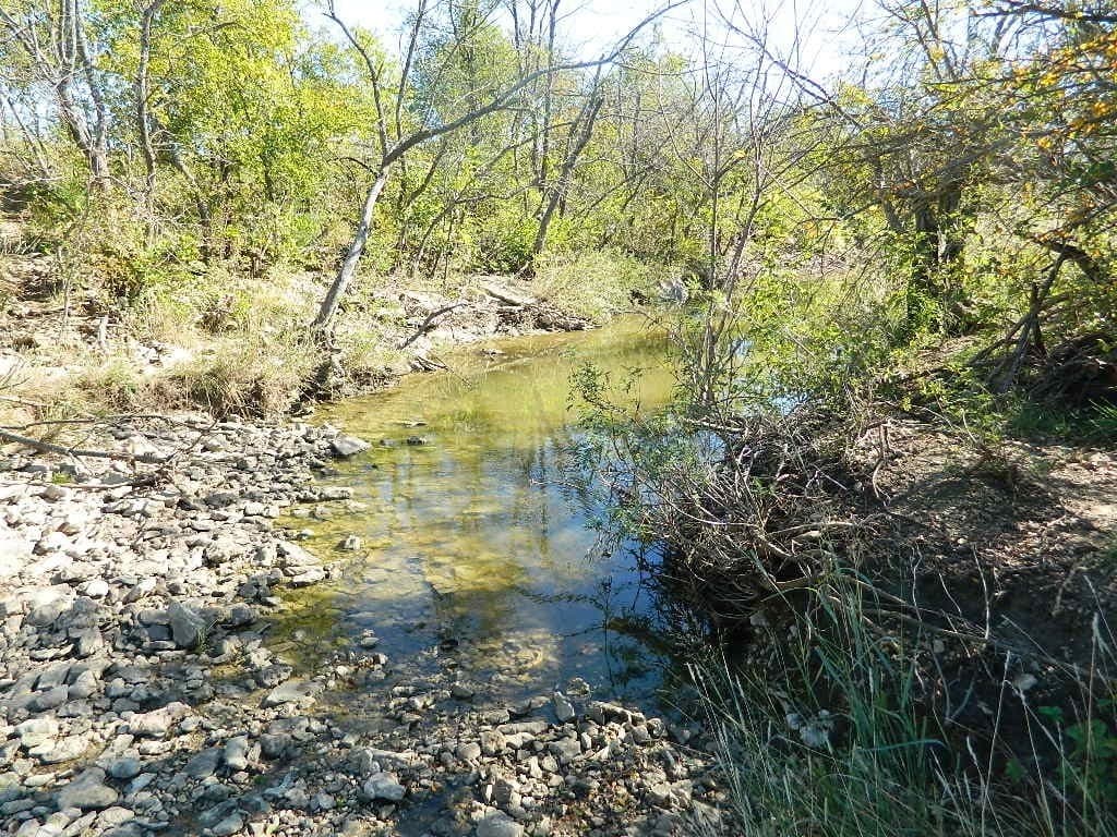 144.3 acres in Cooke County - photo 12