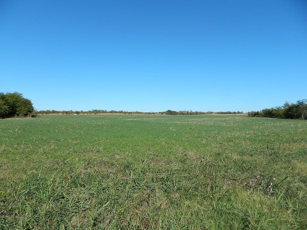 144.3 acres in Cooke County - photo 17