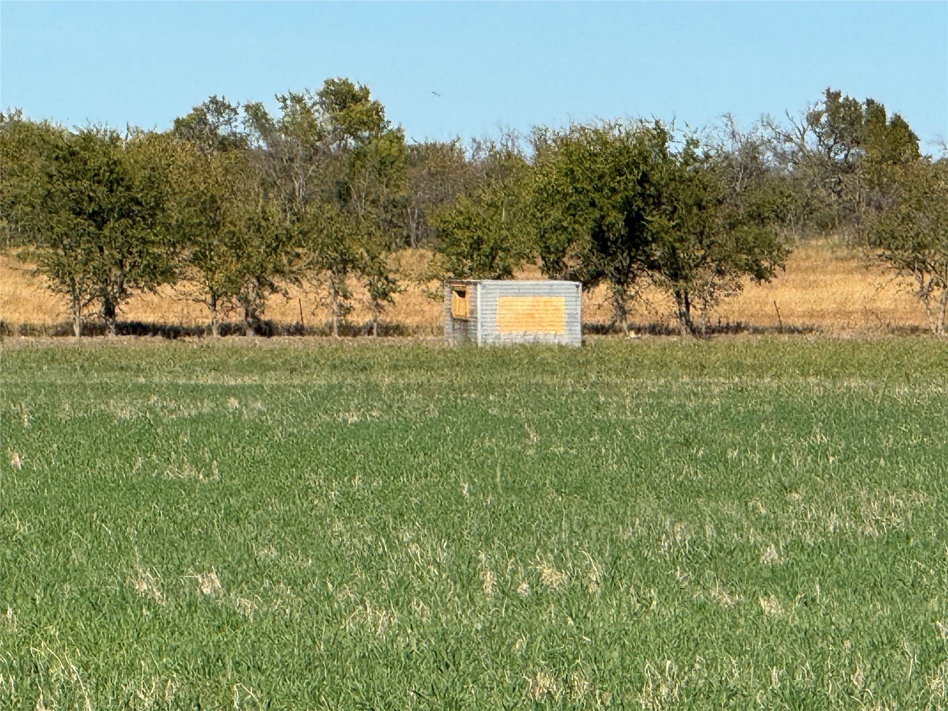 144.3 acres in Cooke County - photo 28