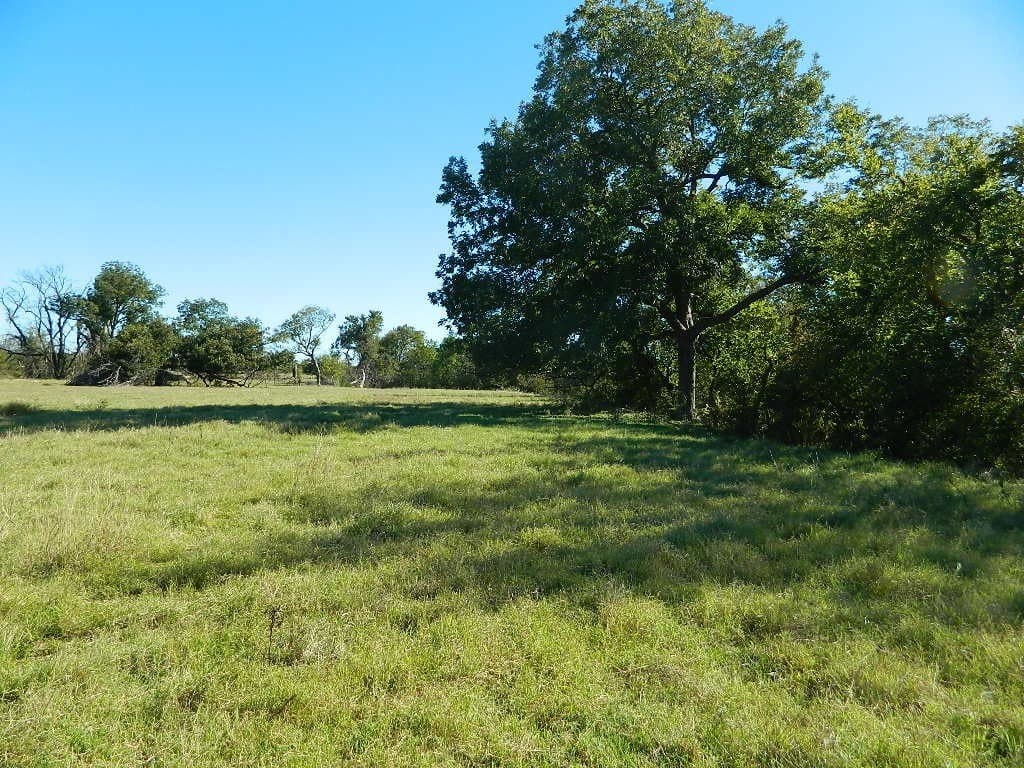 144.3 acres in Cooke County - photo 14