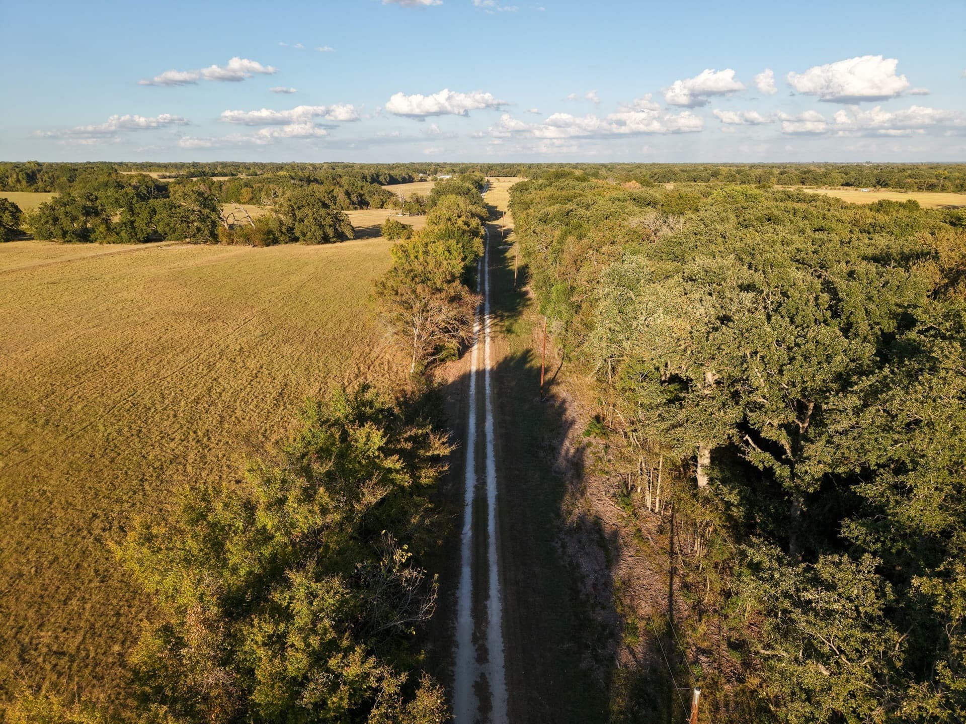 1.12 acres in Limestone County - photo 16