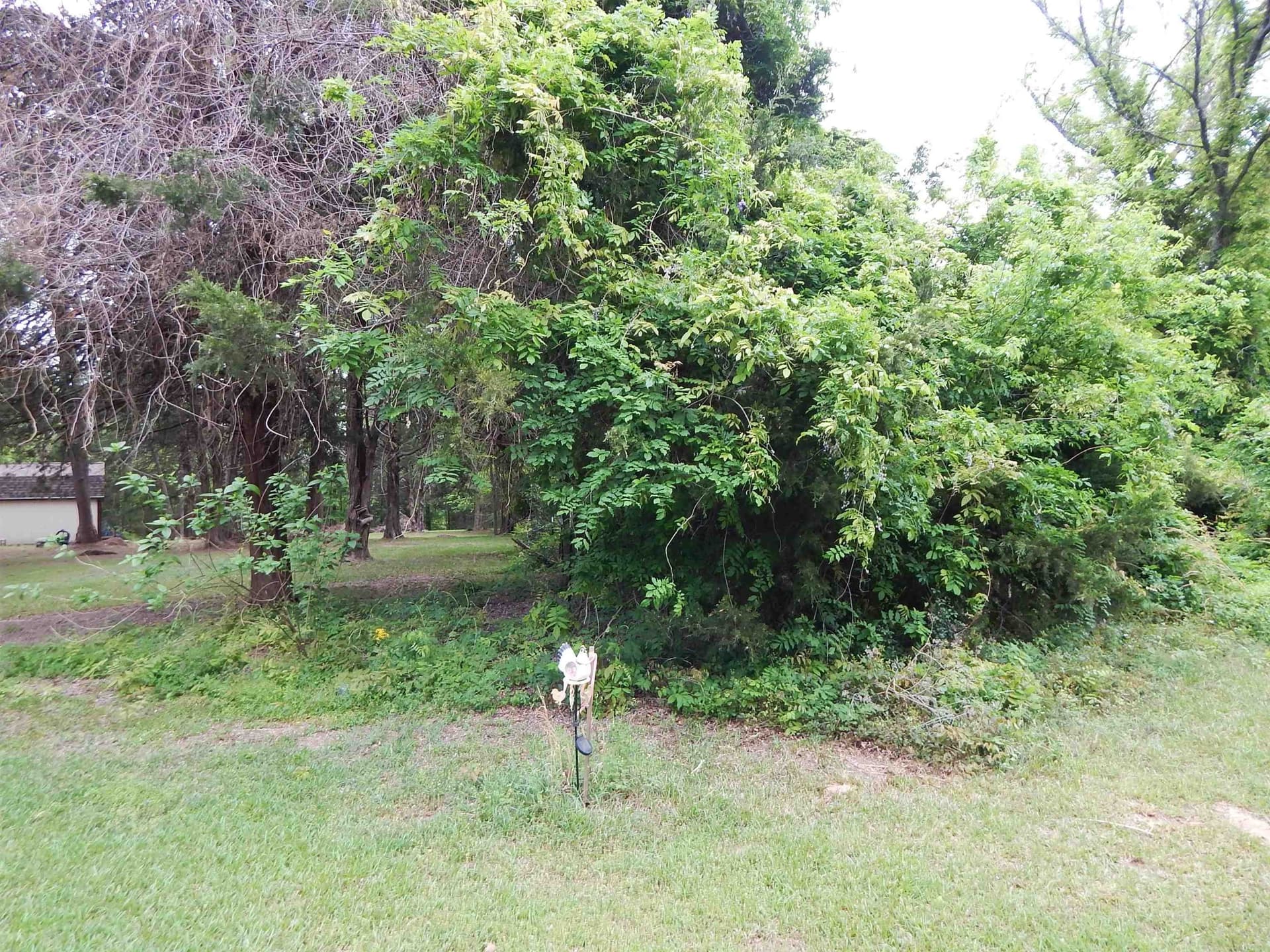 2 acres in Wood County featured view