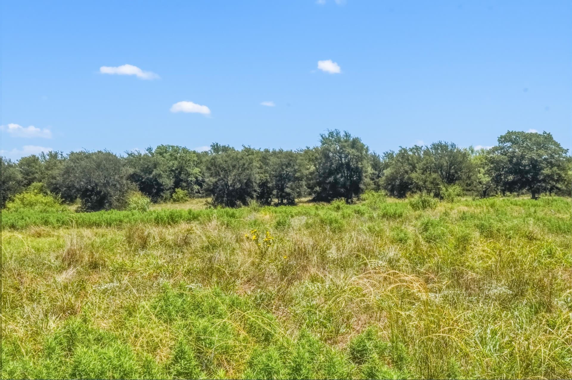 100.13 acres in Jack County - photo 26