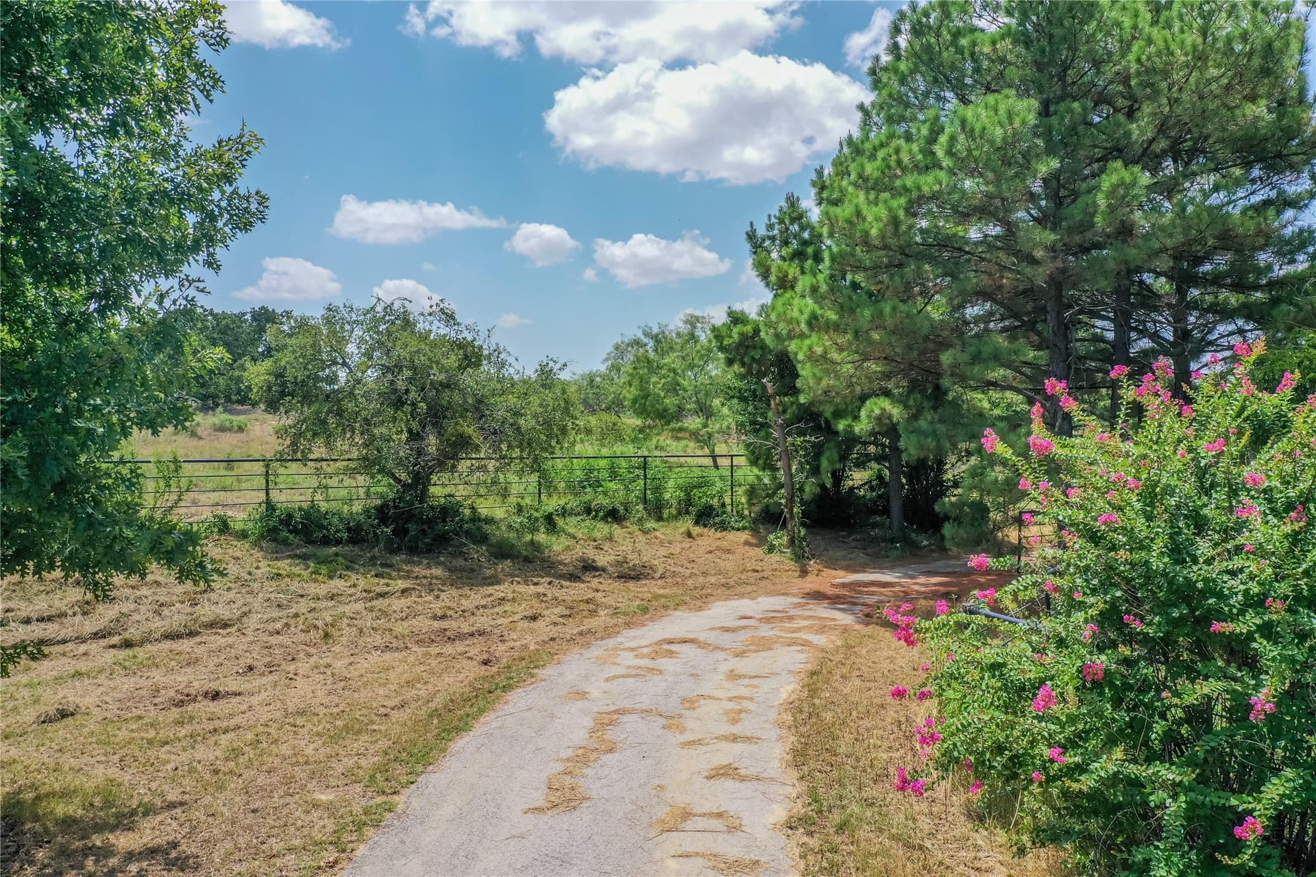 100.13 acres in Jack County - photo 3