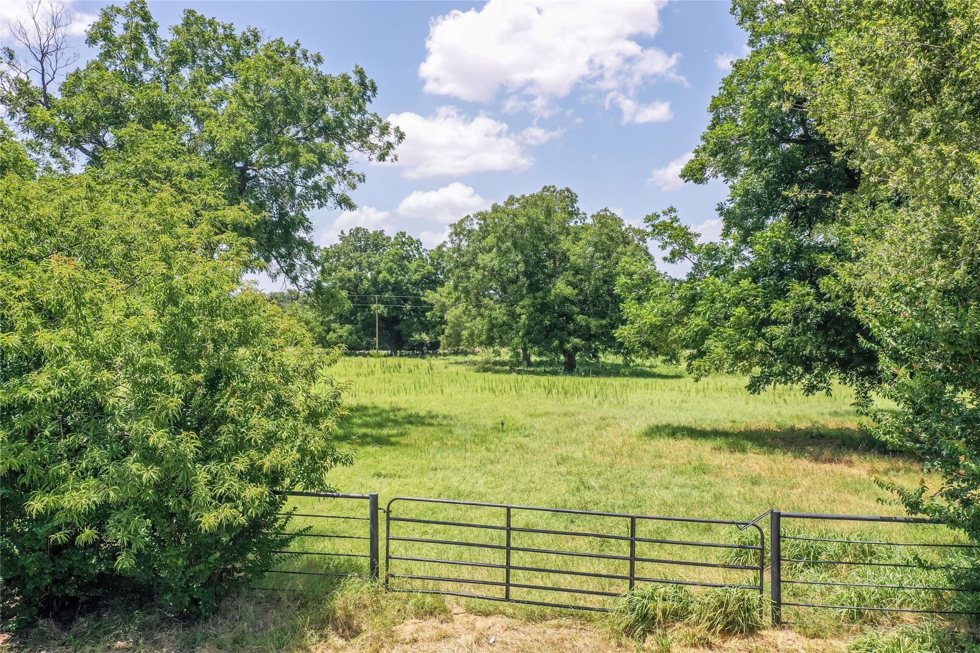100.13 acres in Jack County - photo 5