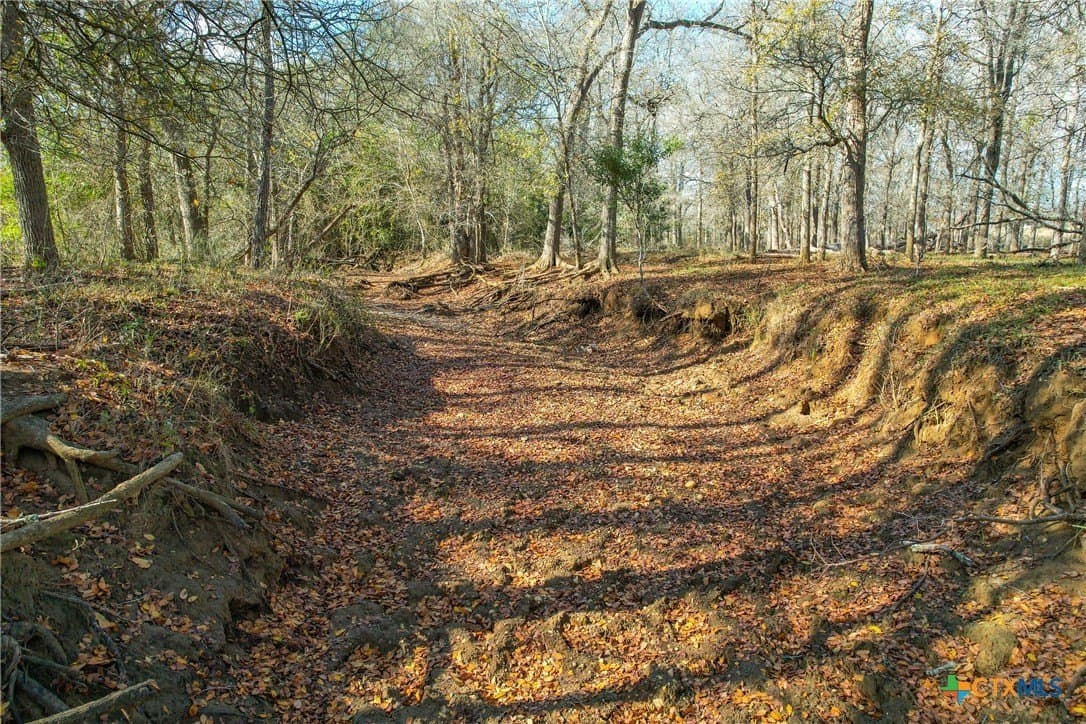 10.1 acres in Gonzales County featured view