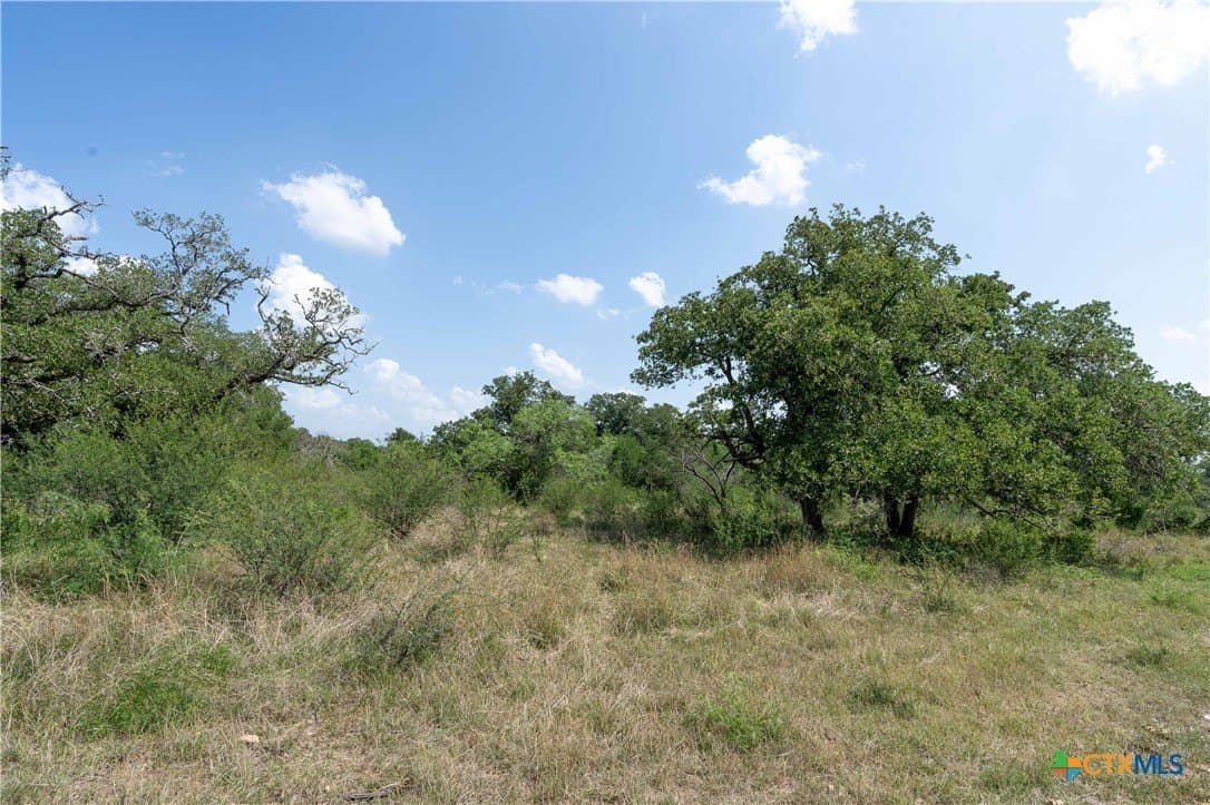 72.92 acres in Guadalupe County - photo 14