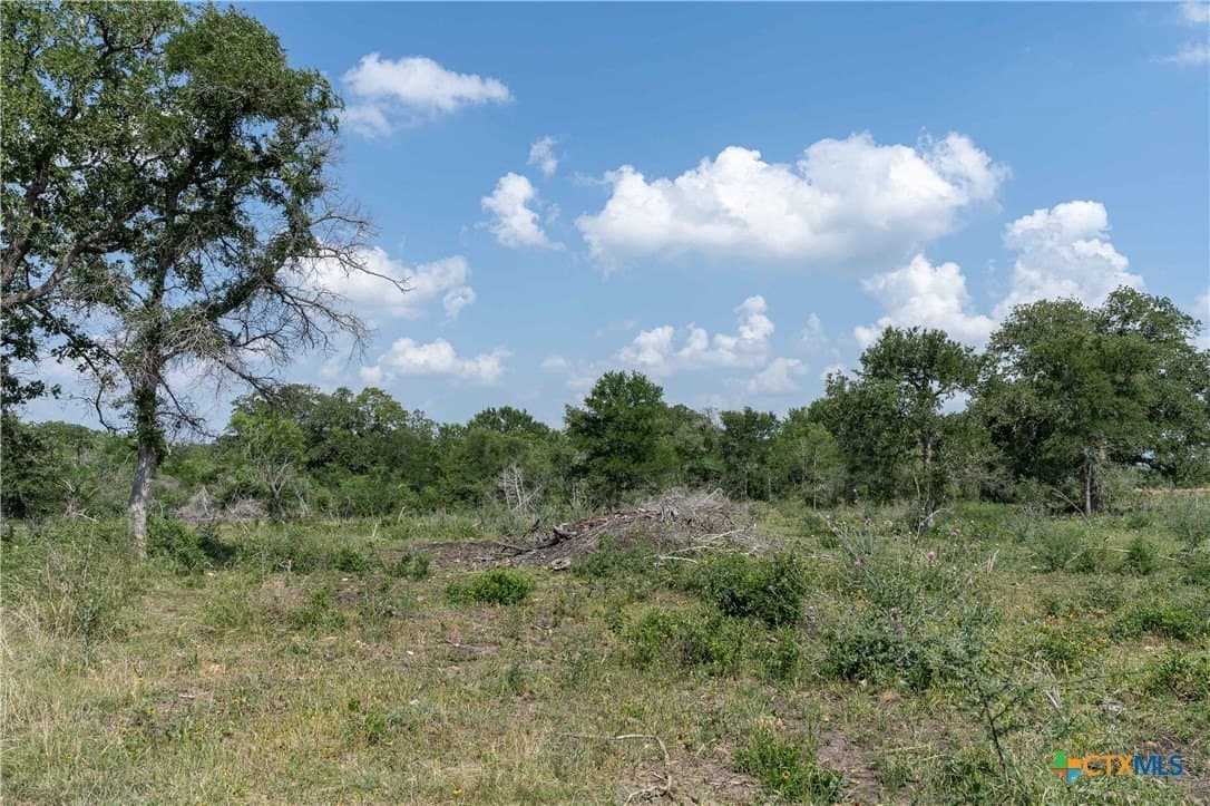 72.92 acres in Guadalupe County - photo 17