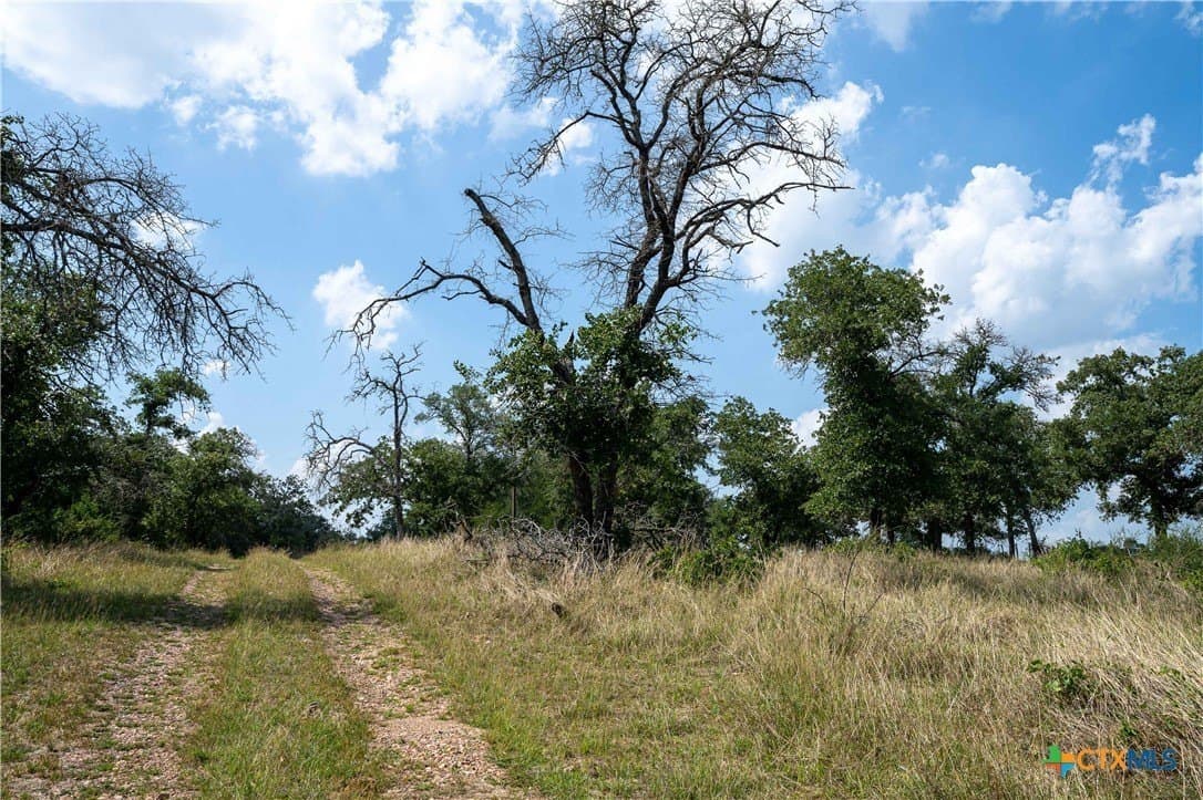72.92 acres in Guadalupe County - photo 13