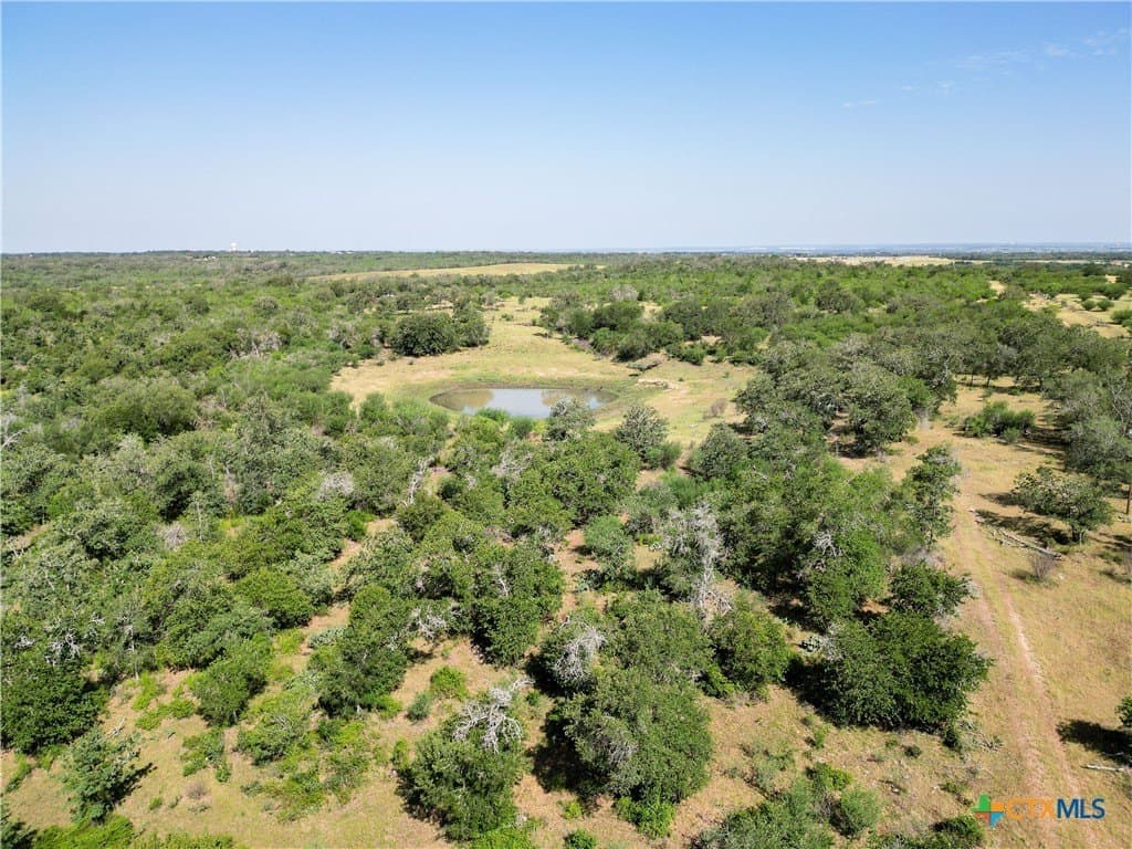 72.92 acres in Guadalupe County gallery image 4