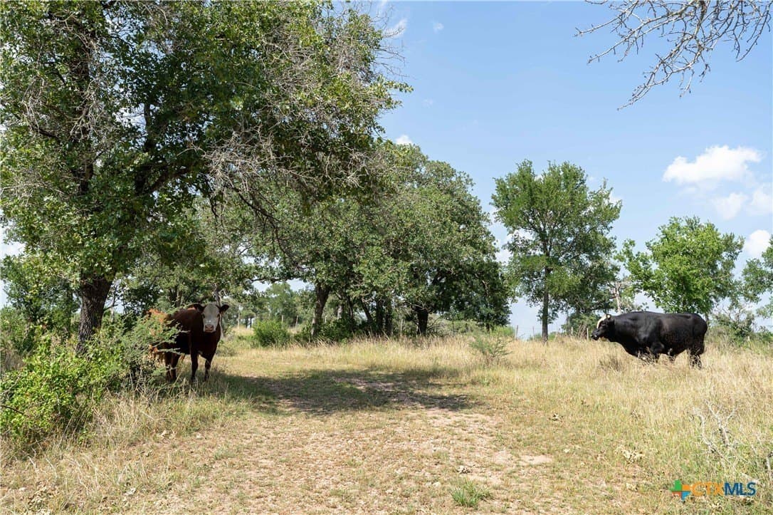 72.92 acres in Guadalupe County - photo 15