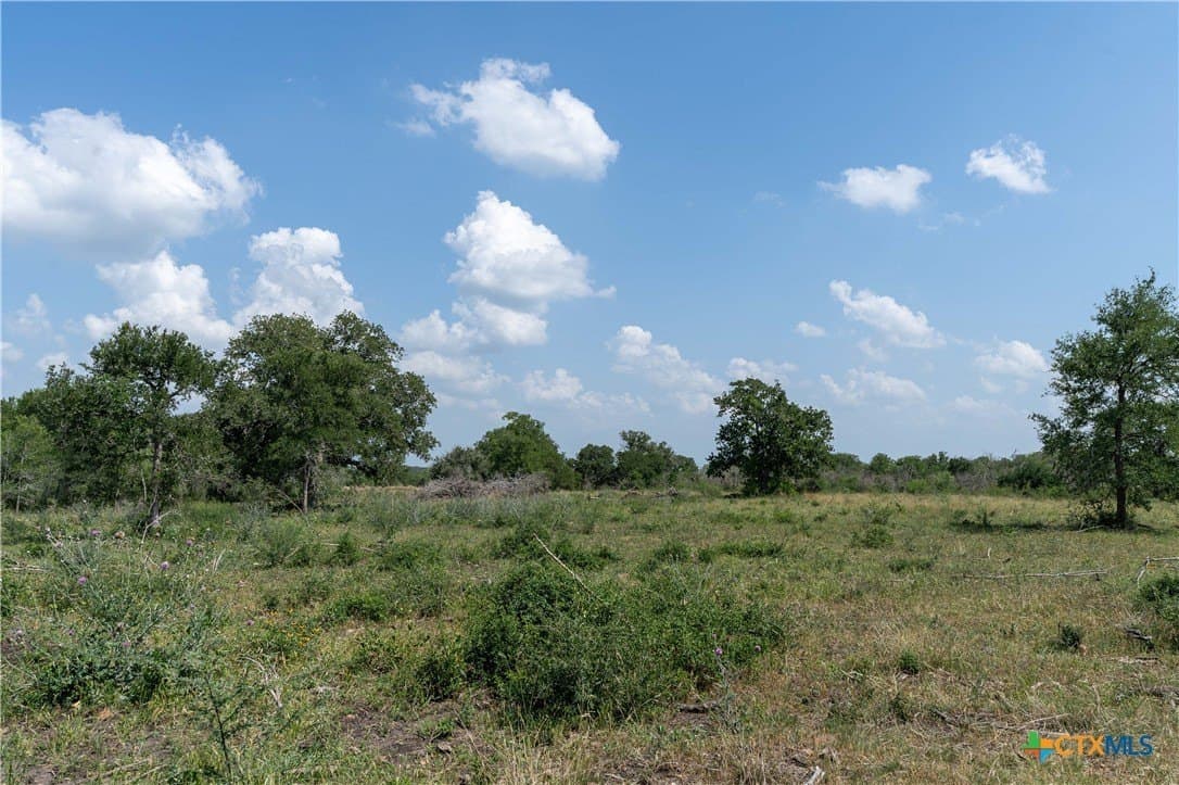 72.92 acres in Guadalupe County - photo 16