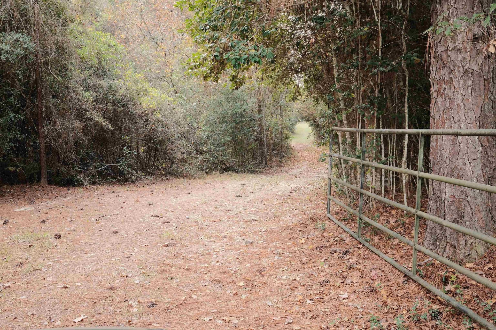 45.4 acres in Texas County - photo 8