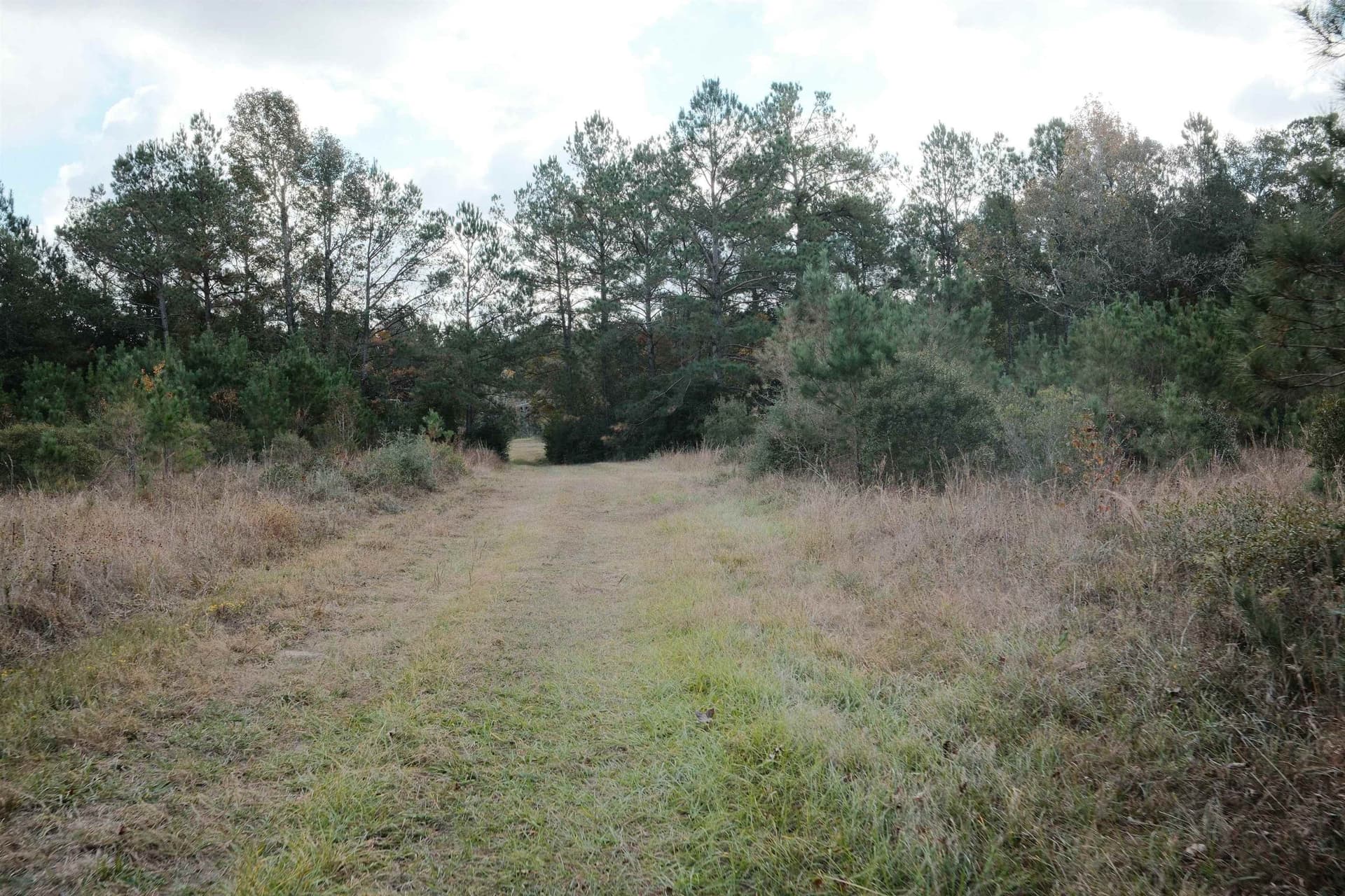 45.4 acres in Texas County - photo 7