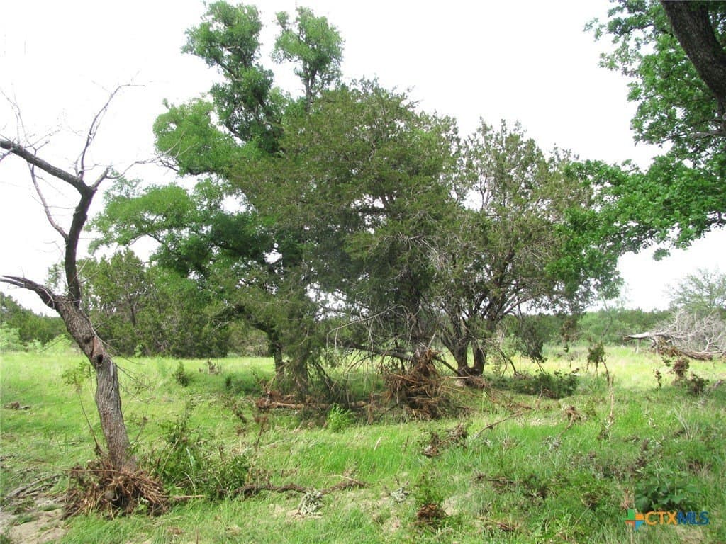 10.01 acres in Hamilton County - photo 14