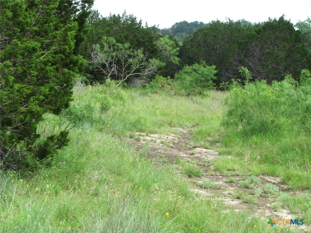 10.01 acres in Hamilton County - photo 11