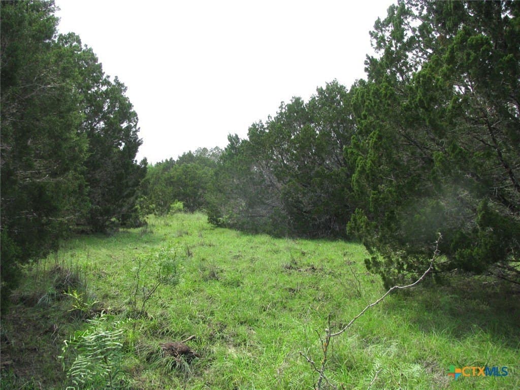 10.01 acres in Hamilton County - photo 16