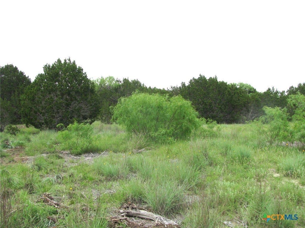 10.01 acres in Hamilton County - photo 17