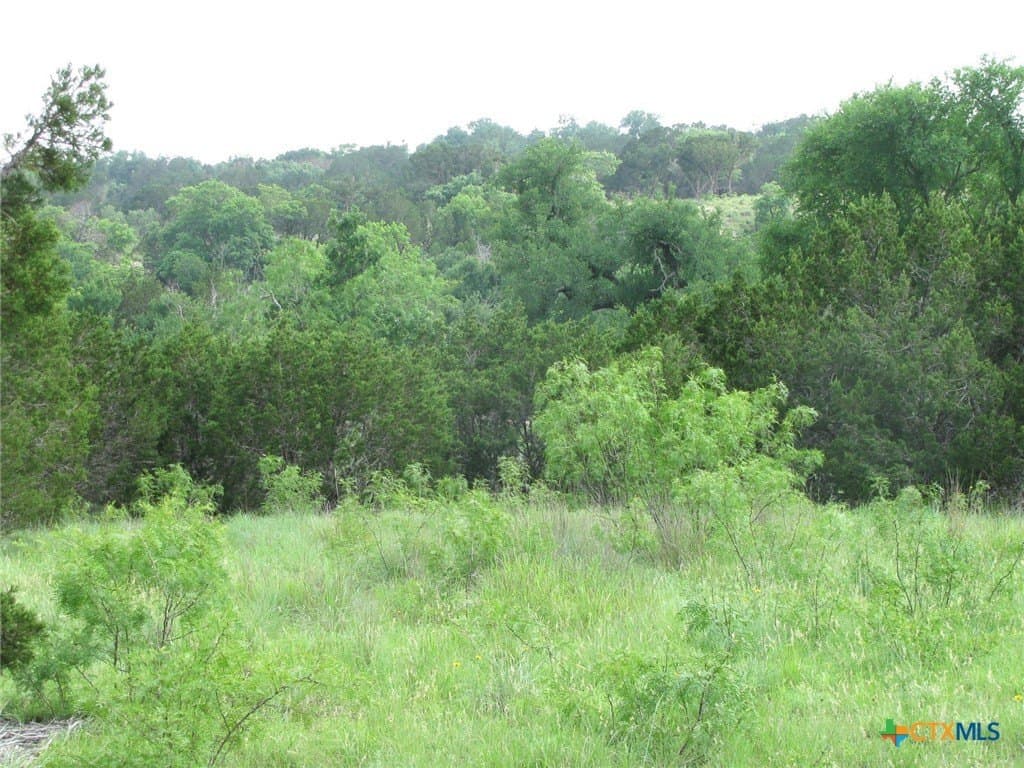 10.01 acres in Hamilton County gallery image 2