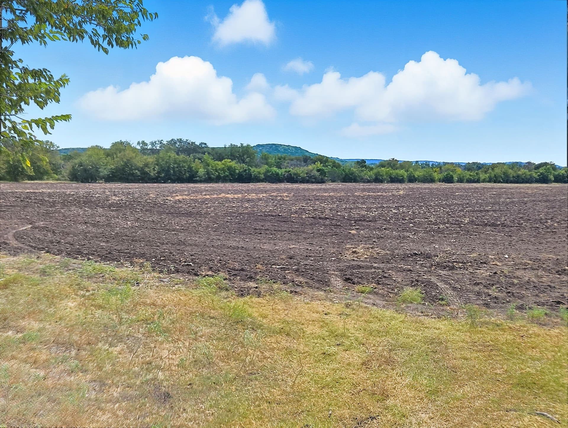 482.53 acres in Coryell County - photo 5