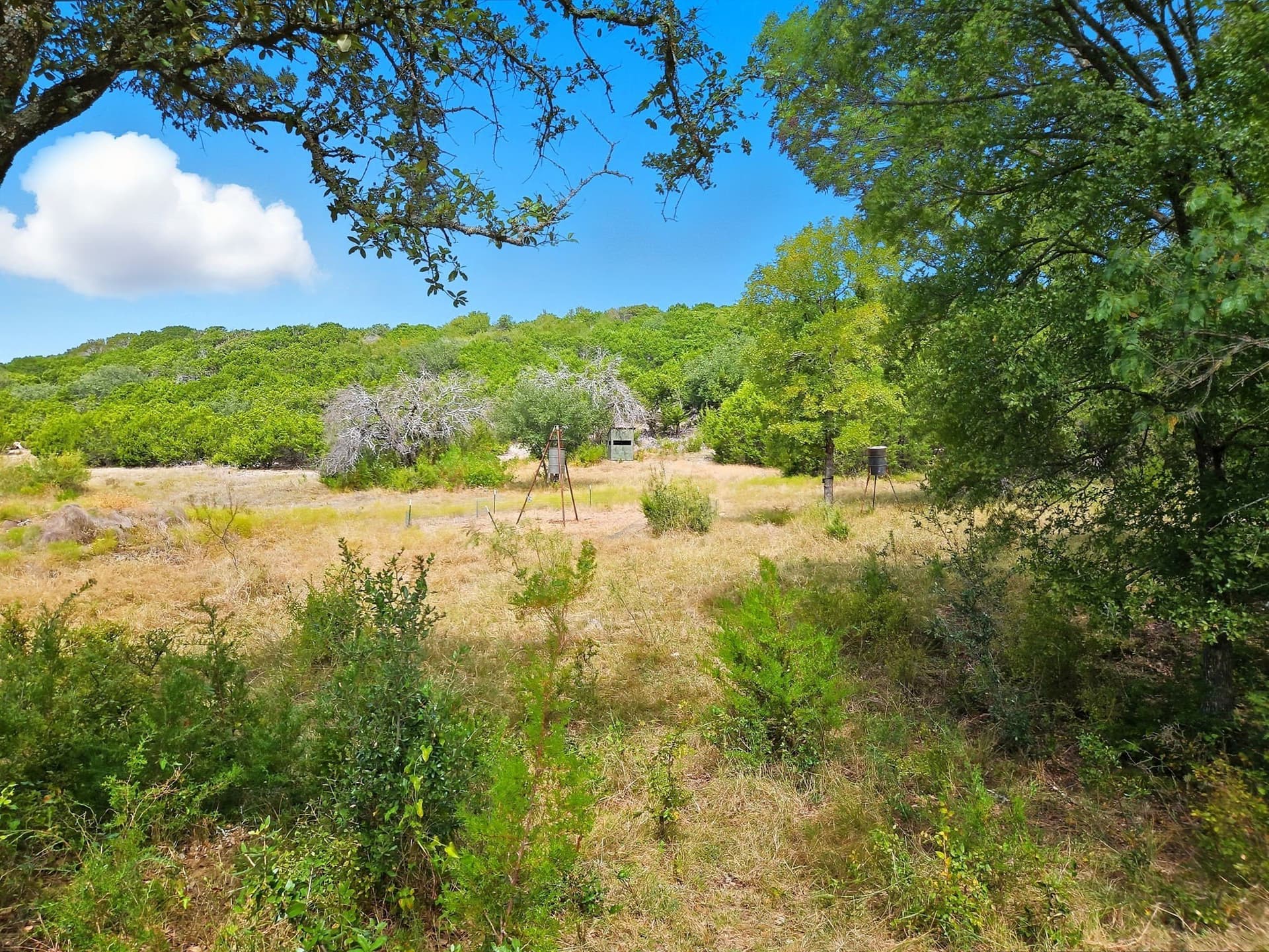 482.53 acres in Coryell County - photo 15