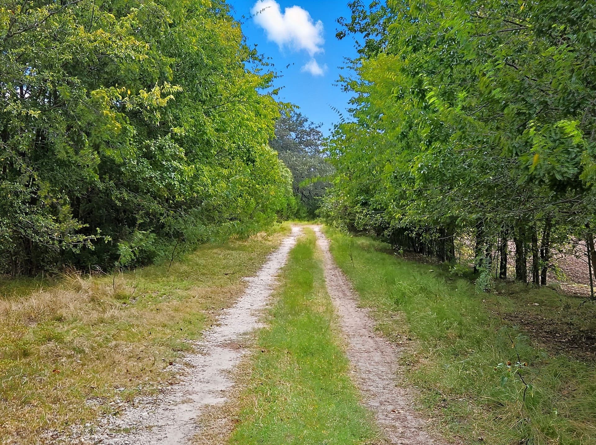 482.53 acres in Coryell County - photo 8