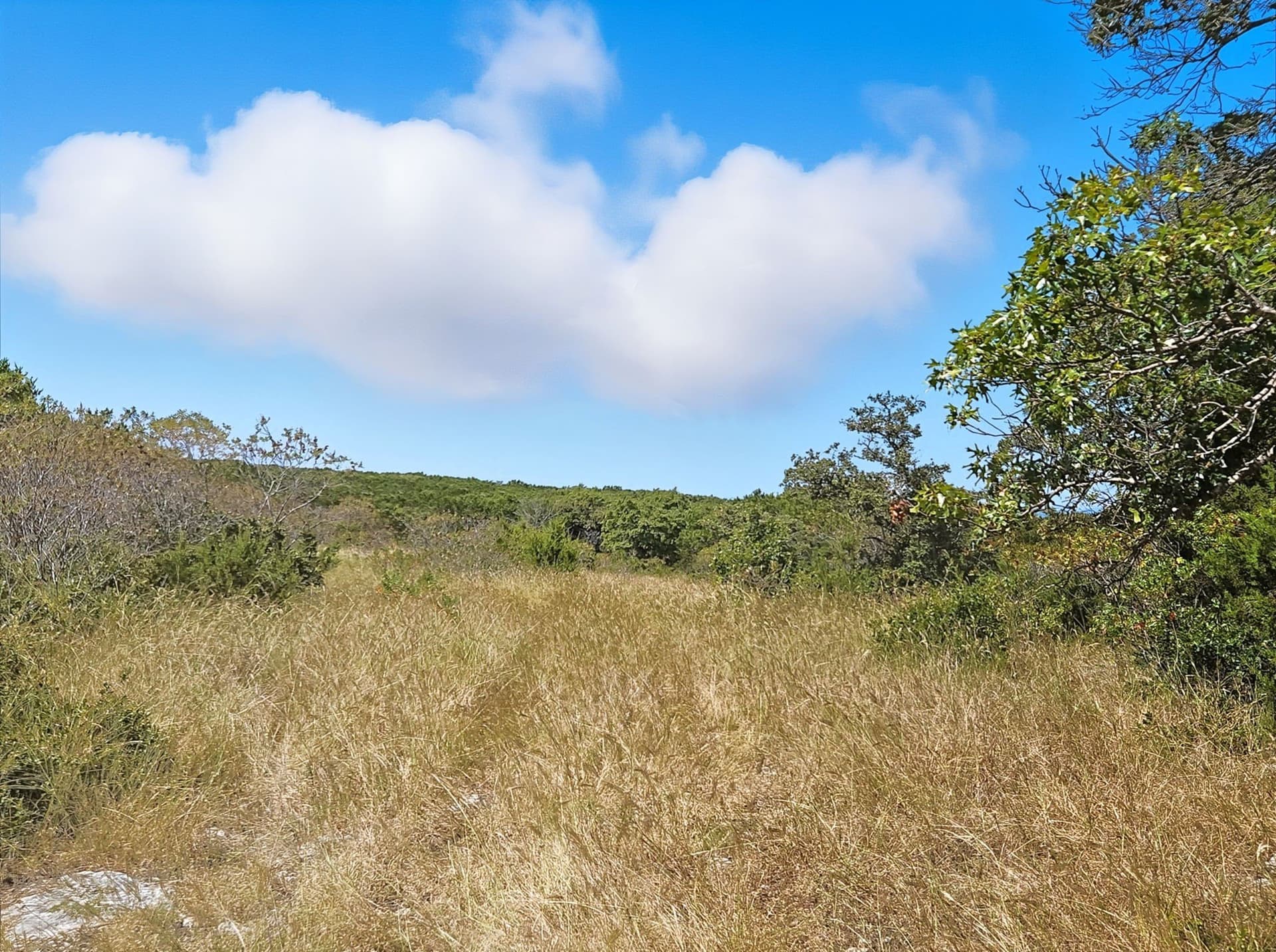 482.53 acres in Coryell County - photo 38