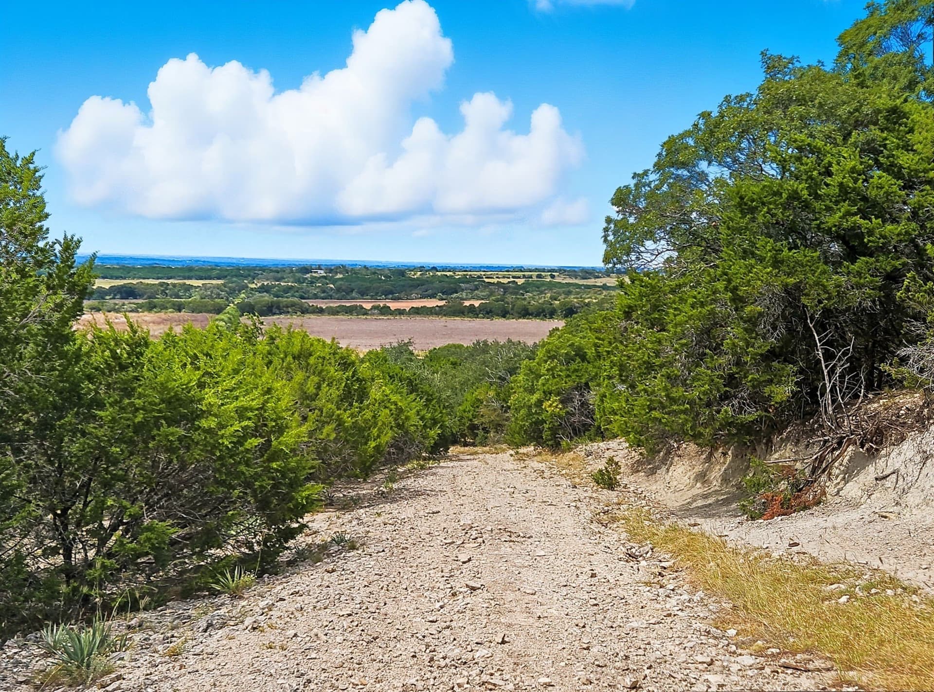 482.53 acres in Coryell County - photo 17