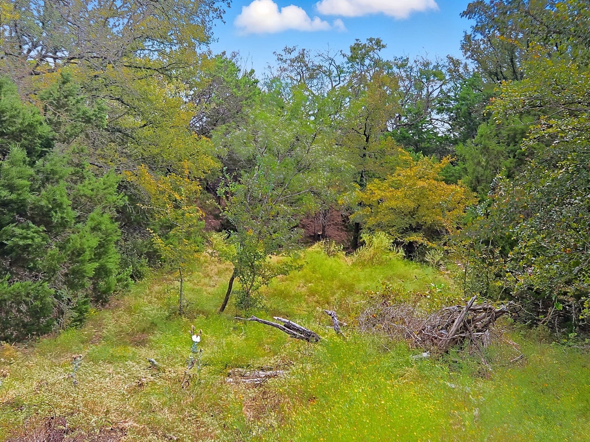 482.53 acres in Coryell County - photo 9