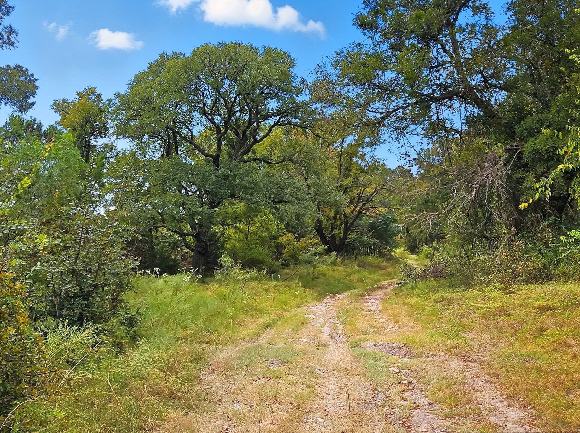 482.53 acres in Coryell County - photo 31