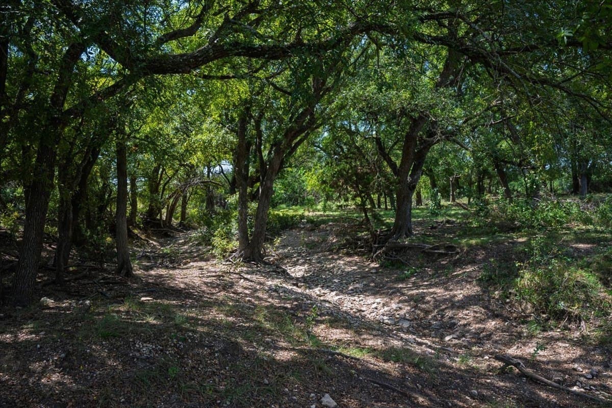 482.53 acres in Coryell County - photo 27