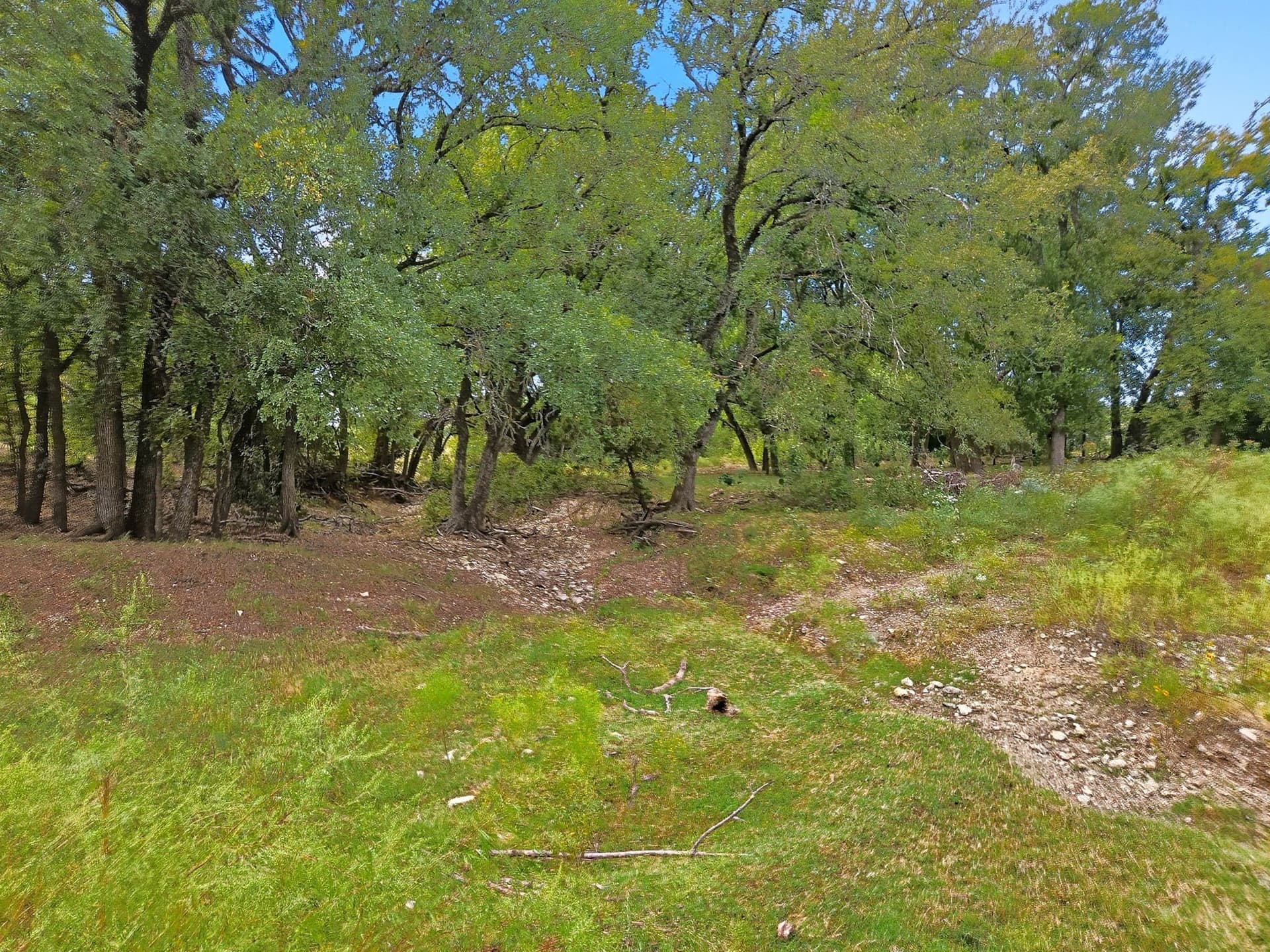 482.53 acres in Coryell County - photo 33