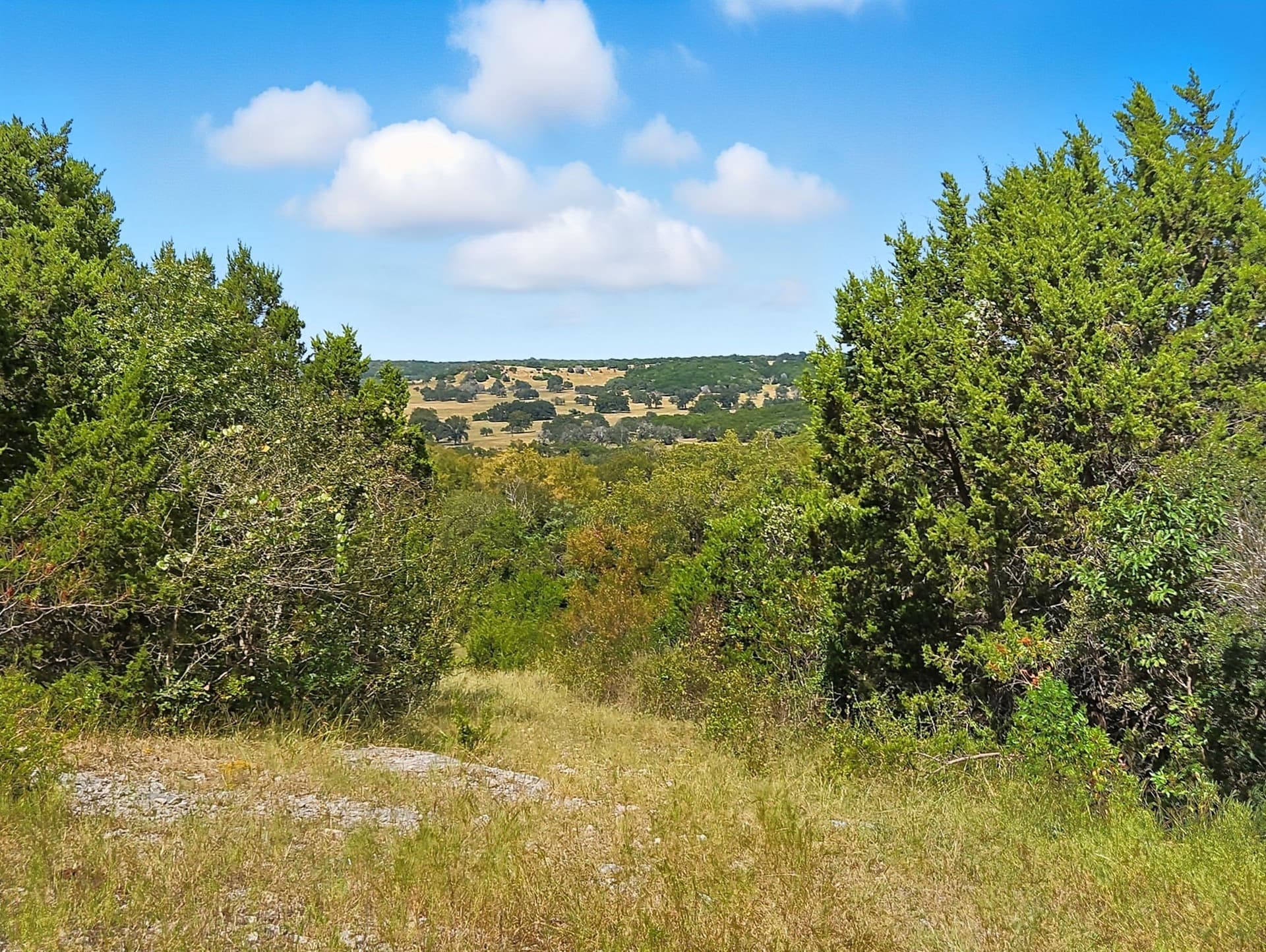 482.53 acres in Coryell County - photo 19