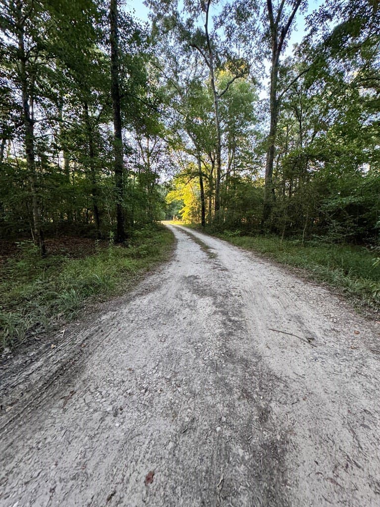 11.68 acres in Texas County gallery image 2