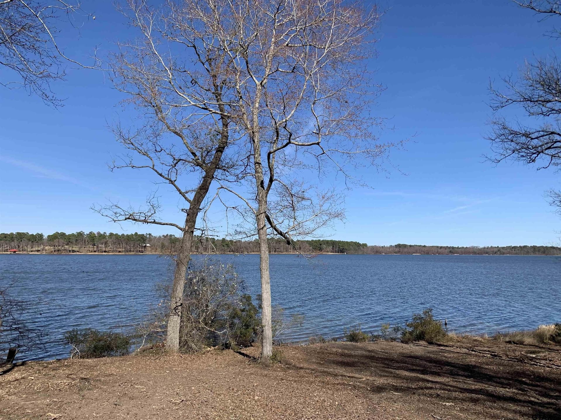 1.35 acres in Henderson County gallery image 3