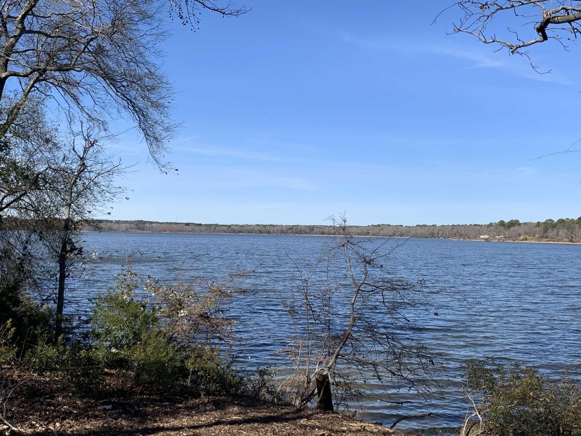 1.35 acres in Henderson County - photo 6