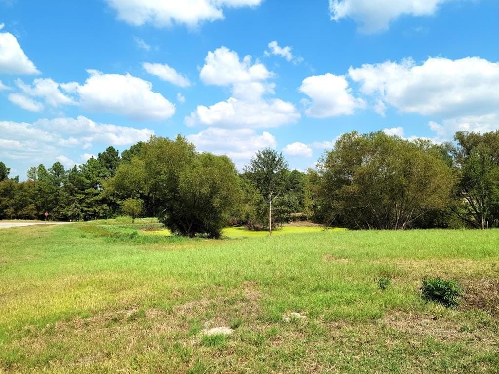 1.19 acres in Henderson County featured view