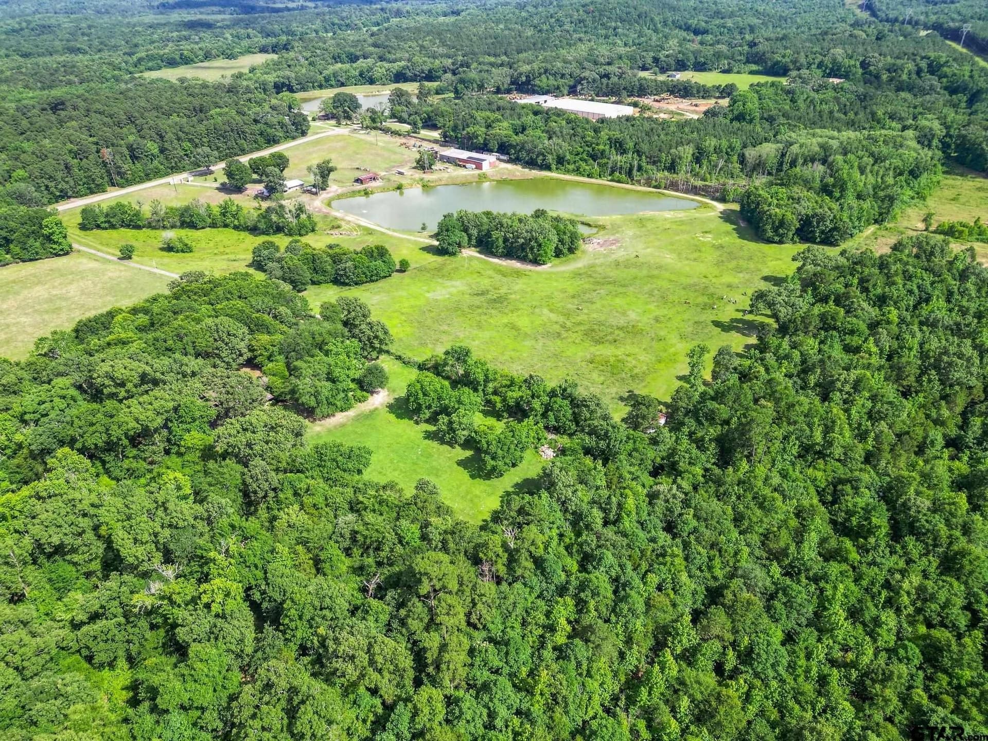 10 acres in Cass County gallery image 2