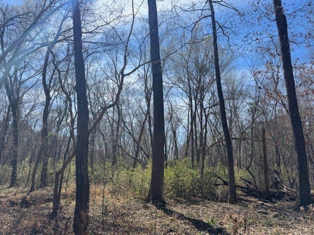 4.28 acres in Anderson County - photo 8