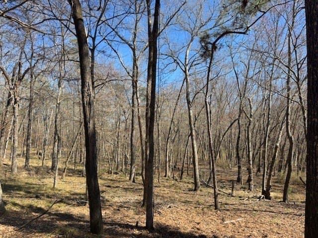 4.28 acres in Anderson County - photo 4