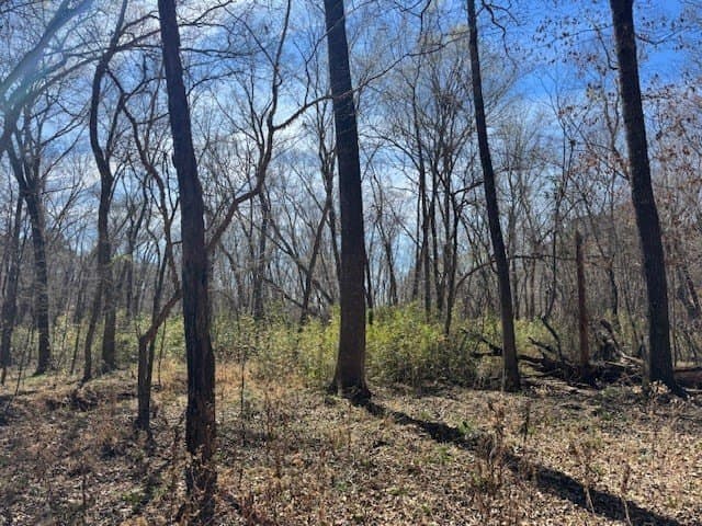 4.28 acres in Anderson County - photo 7