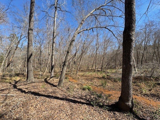 4.28 acres in Anderson County - photo 6