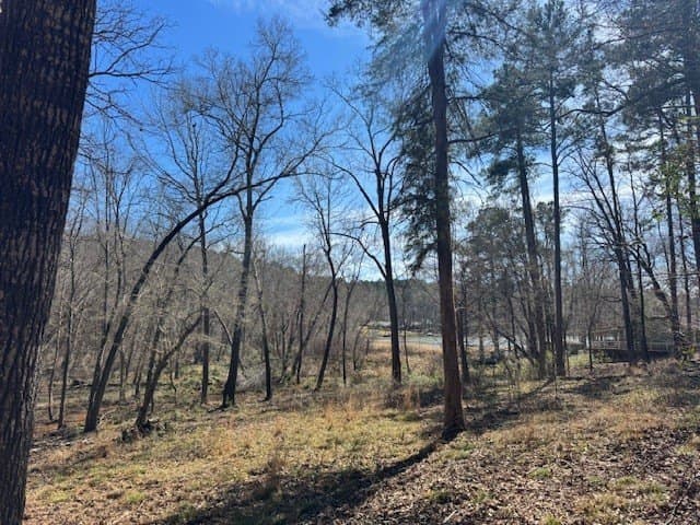 4.28 acres in Anderson County - photo 3
