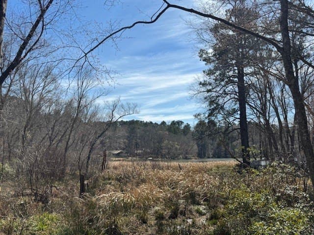 4.28 acres in Anderson County - photo 5