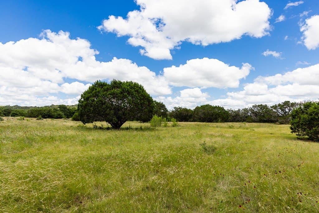 29.38 acres in Kerr County - photo 8