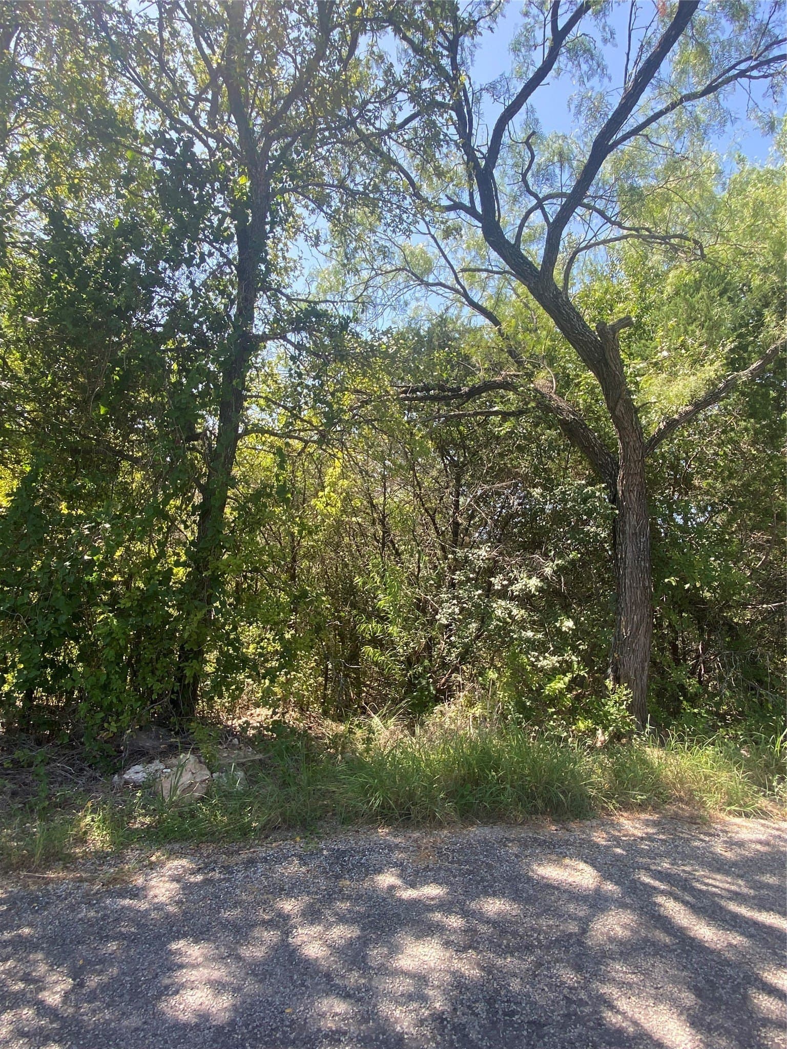 0.74 acres in Hood County - photo 3