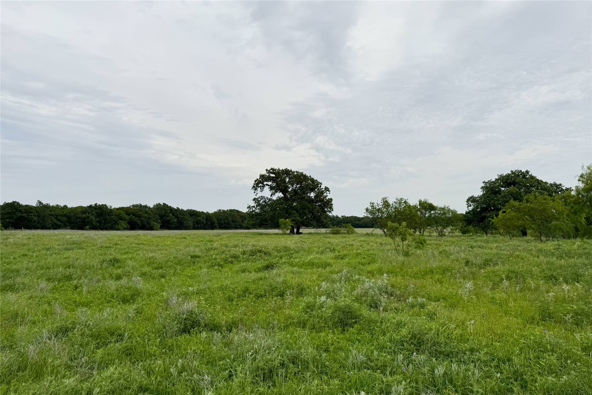 320 acres in Clay County - photo 5