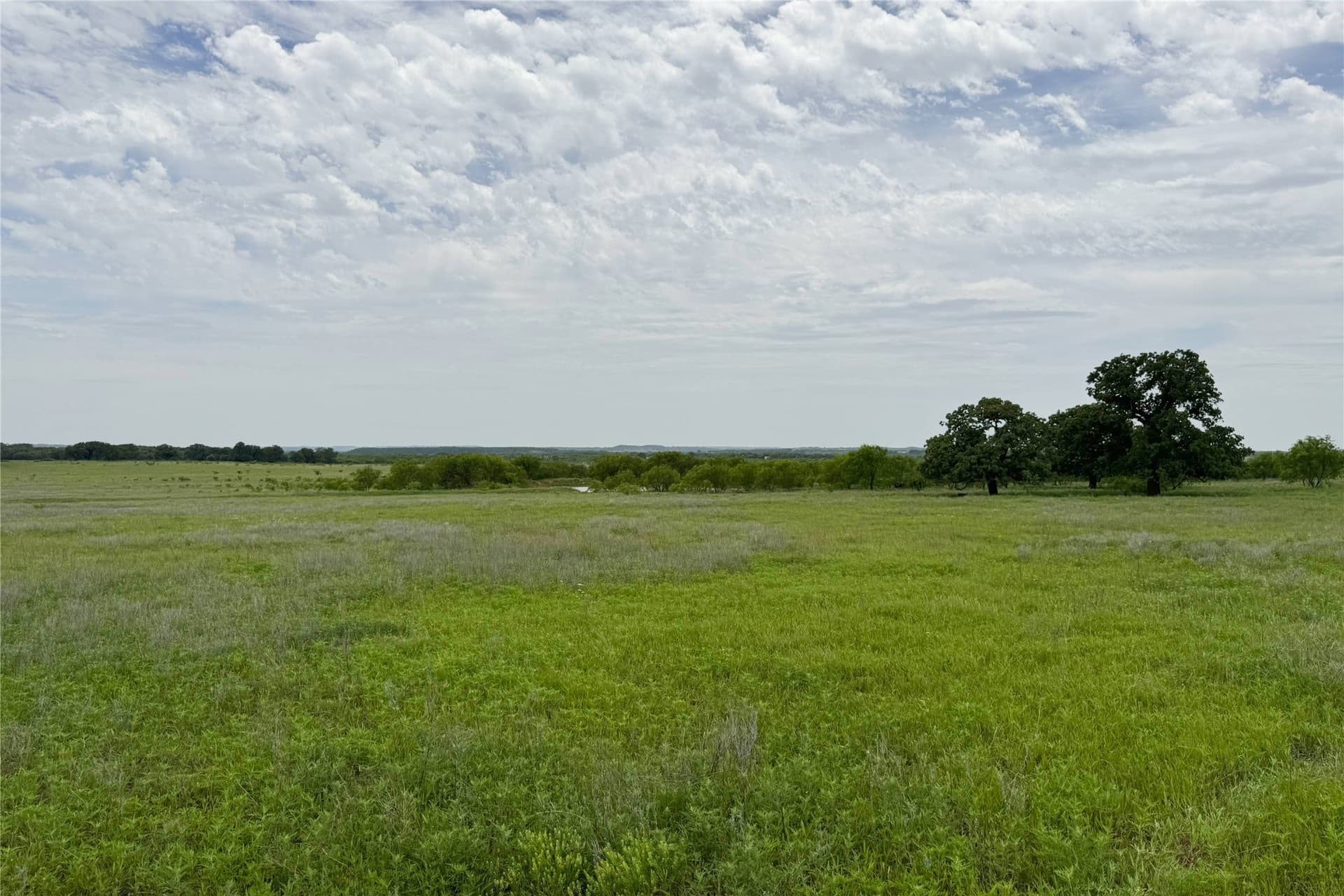 320 acres in Clay County - photo 7