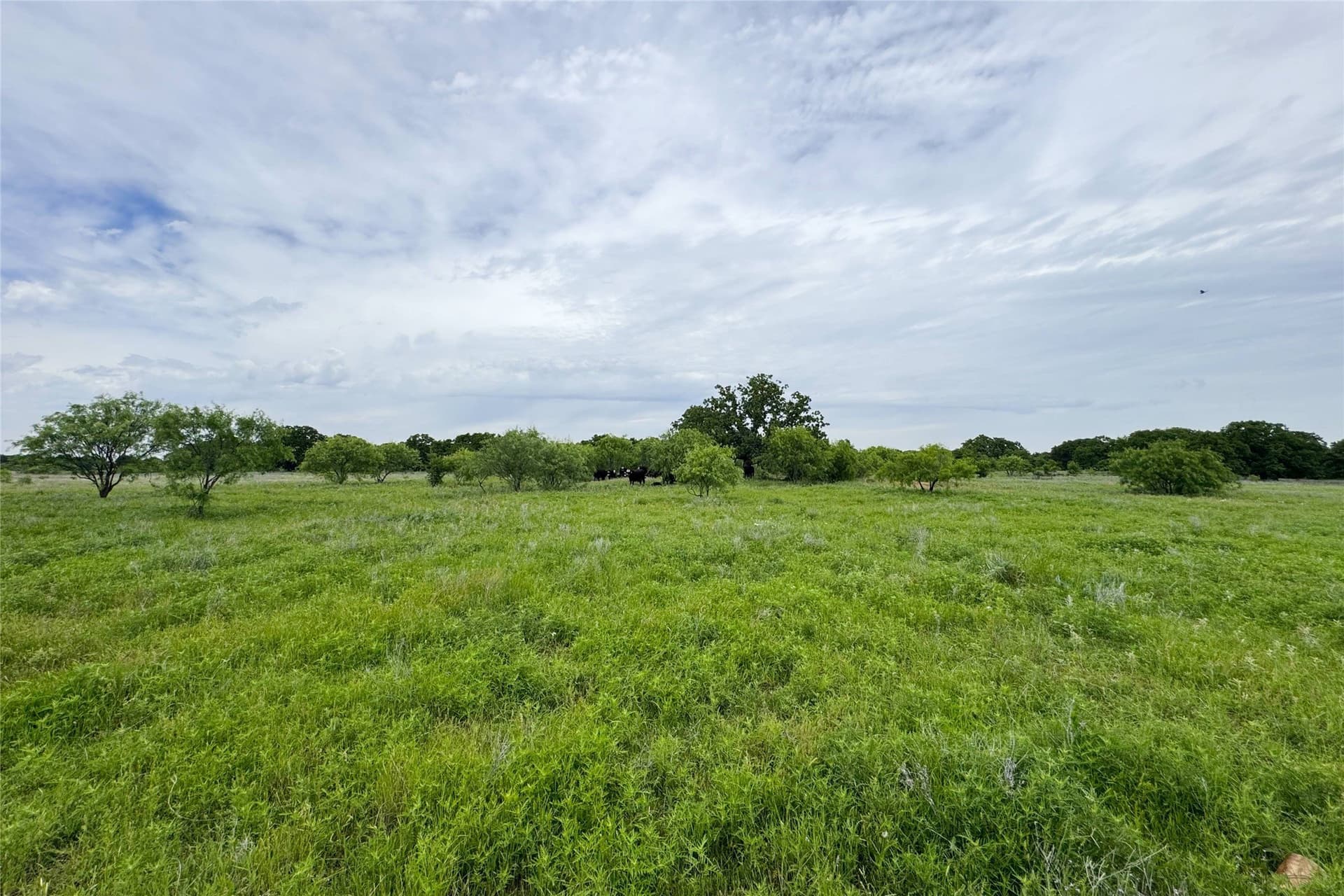 320 acres in Clay County - photo 6