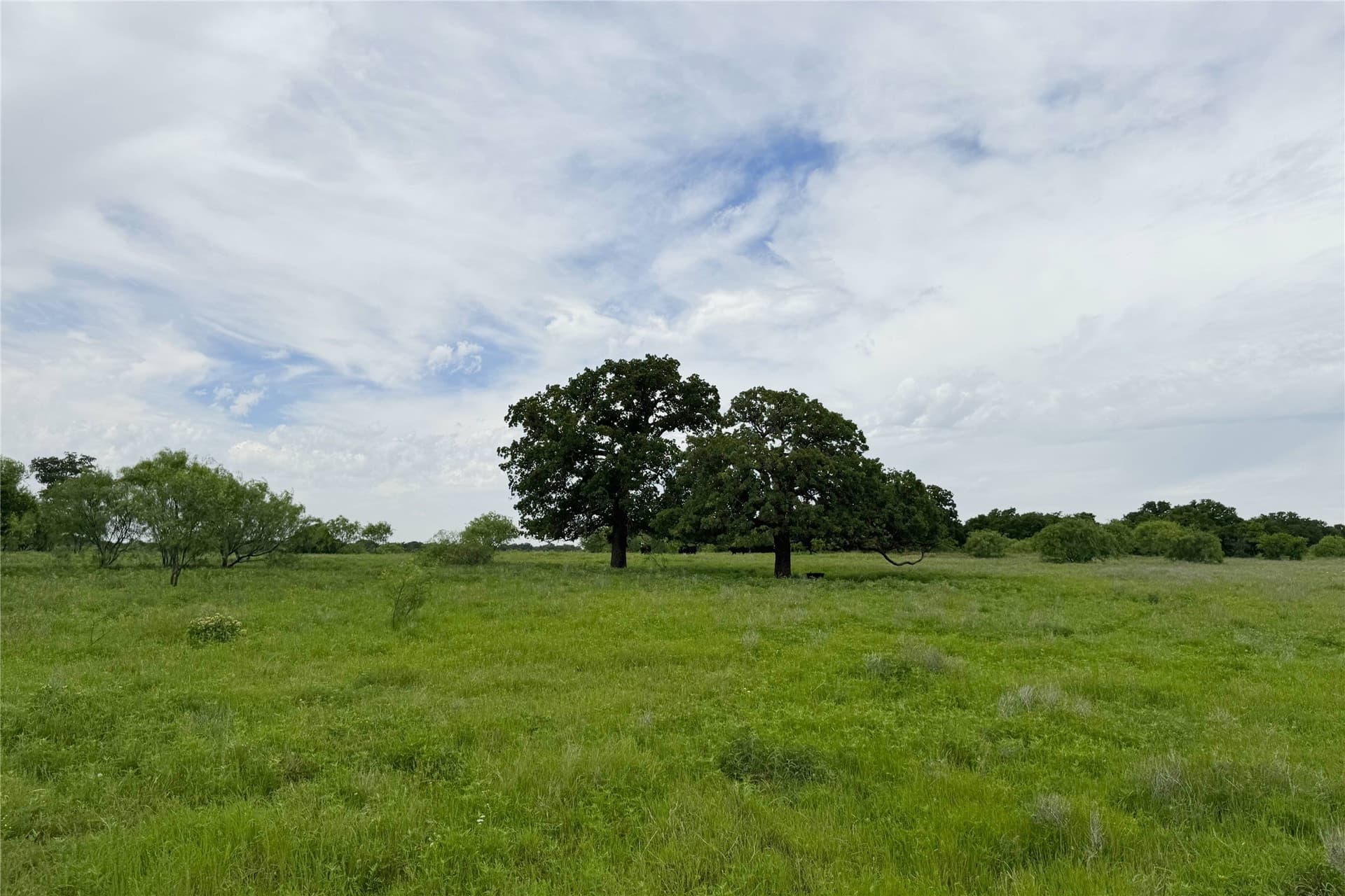 320 acres in Clay County